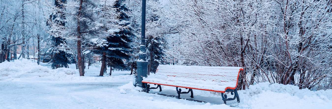 winter outdoor bench