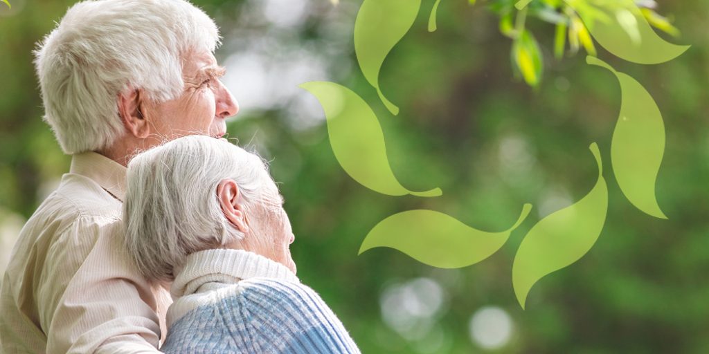 Elderly couple in the sunshine