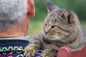 Cappella Pueblo West Senior Living Community in Pueblo West, CO - cpw close up of cat on senior man s shoulder