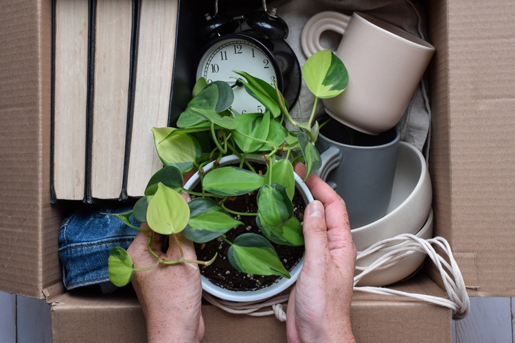 Cappella Pueblo West Senior Living Community in Pueblo West, CO - cappella of pueblo west parent transition to al 1 (1) Cappella Pueblo West Senior Living Community in Pueblo West, CO - cappella of pueblo west parent transition to al 1 (1)