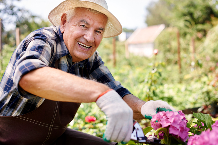 Cappella Pueblo West Senior Living Community in Pueblo West, CO - cappella of pueblo west senior man gardening (1)